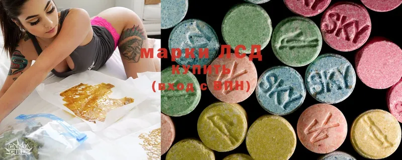 где можно купить наркотик  Каменногорск  ЛСД экстази ecstasy 